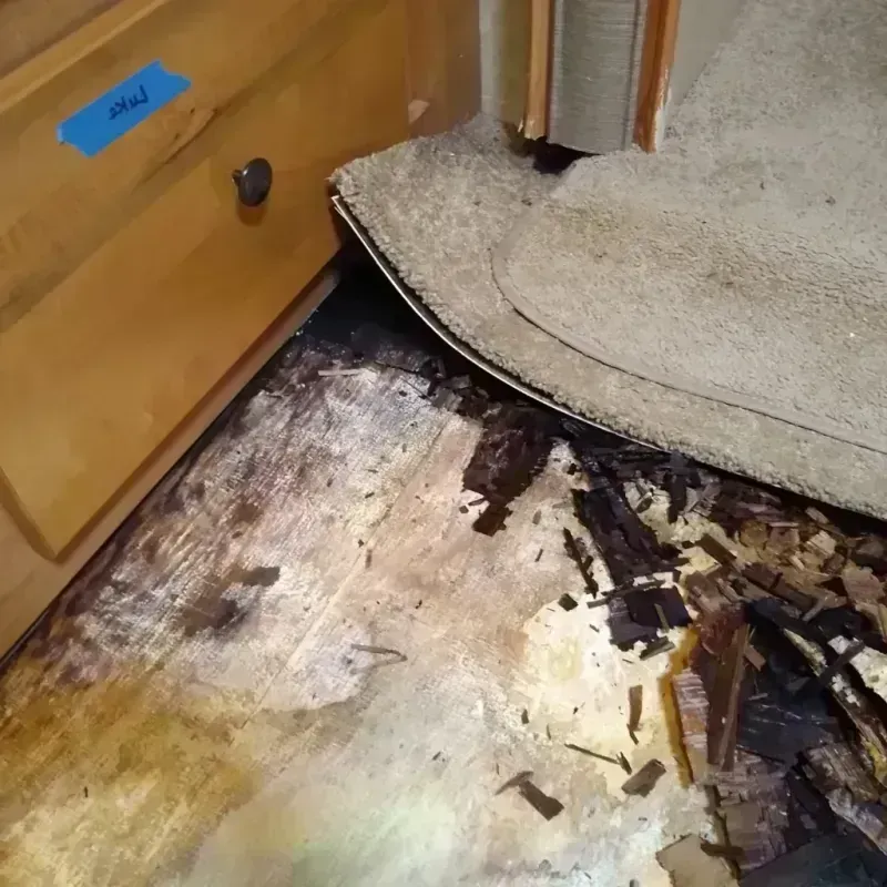 Wood Floor Water Damage in Ypsilanti, MI